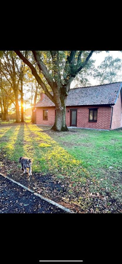 The Cottage Bocholt Buitenkant foto